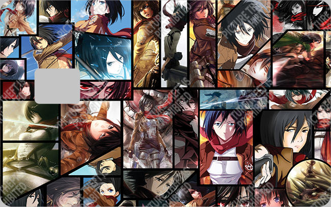 Bank  Card Sticker-BC-530